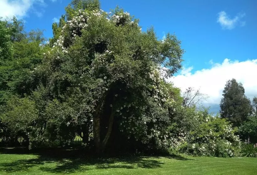 Aamiaismajoitus (B&B) Mairenui Rural Retreat