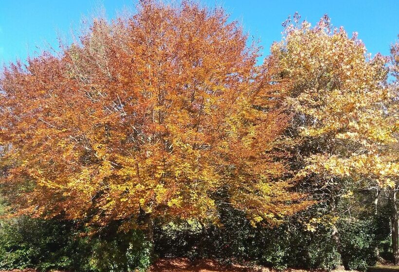 צימר Mairenui Rural Retreat