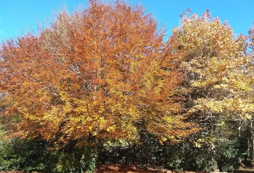 Aamiaismajoitus (B&B) Mairenui Rural Retreat