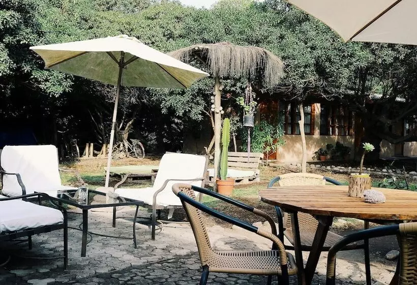 El Arbol Eco Lodge   Hostel