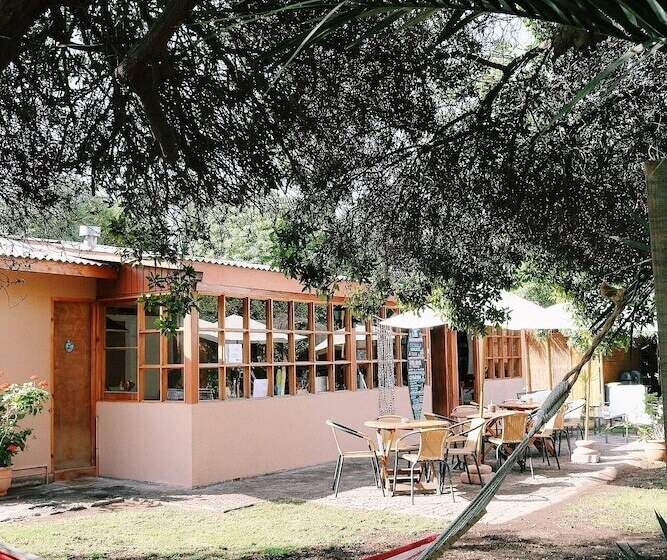 El Arbol Eco Lodge   Hostel