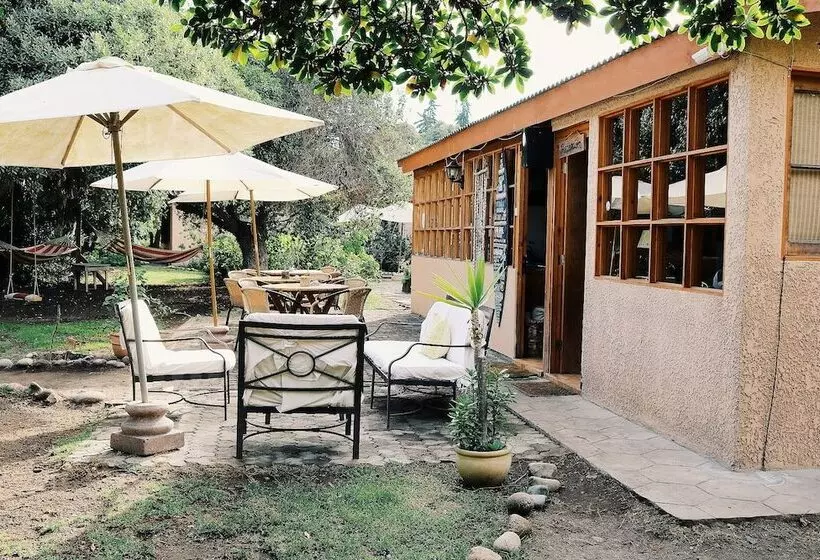 El Arbol Eco Lodge   Hostel
