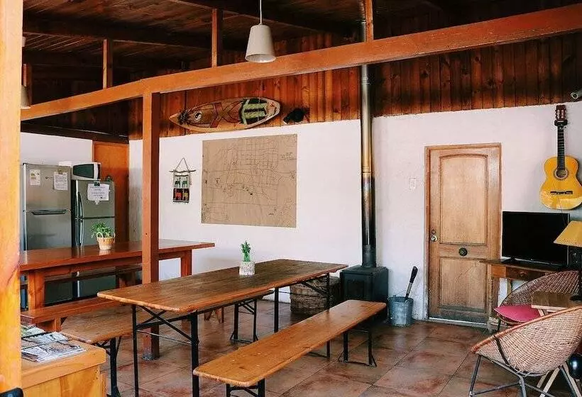 El Arbol Eco Lodge   Hostel
