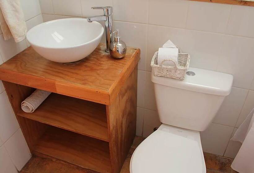 El Arbol Eco Lodge   Hostel