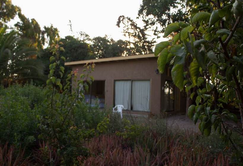 El Arbol Eco Lodge   Hostel