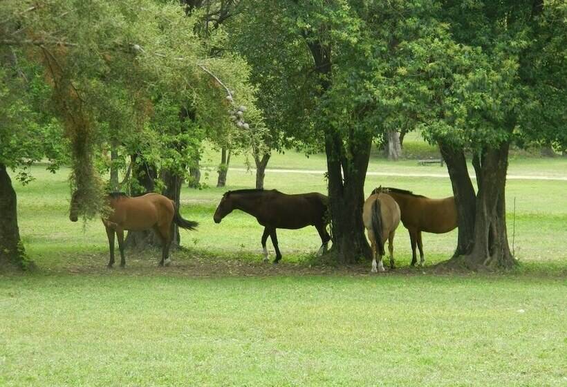 簡易ホテル Paloma Suite & Guest House