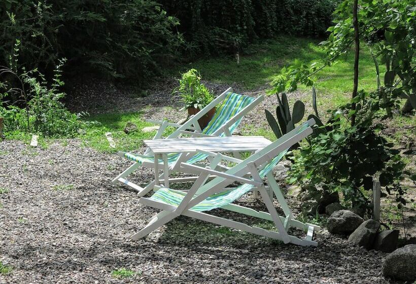 簡易ホテル Paloma Suite & Guest House