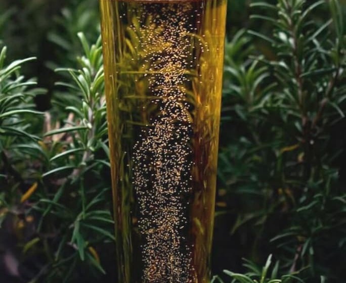 簡易ホテル Paloma Suite & Guest House