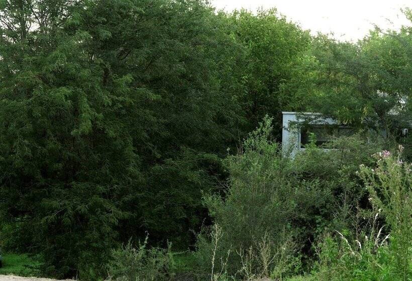 簡易ホテル Paloma Suite & Guest House