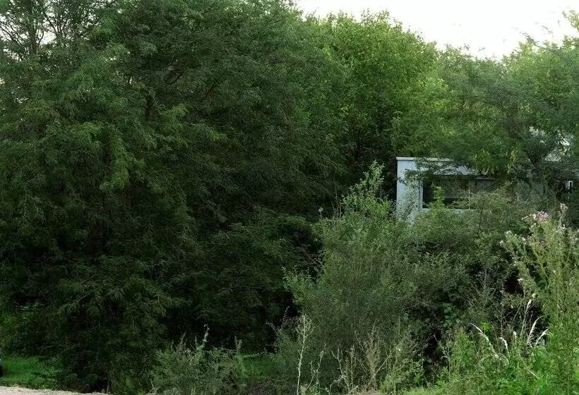 簡易ホテル Paloma Suite & Guest House