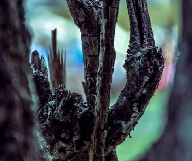 簡易ホテル Paloma Suite & Guest House