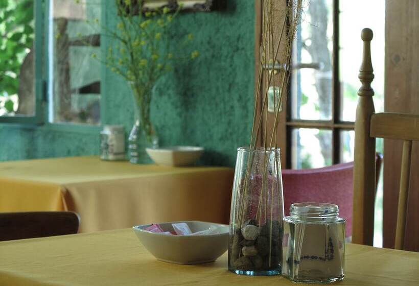 簡易ホテル Paloma Suite & Guest House