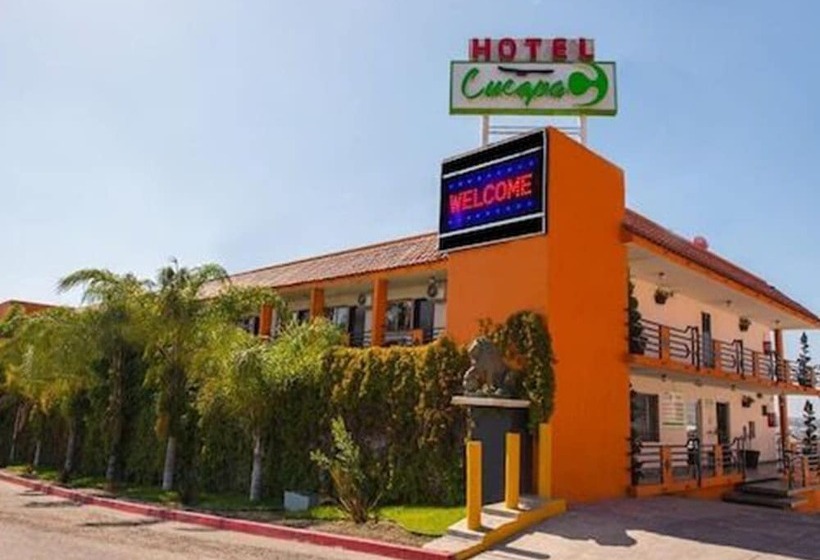 Отель Cucapa