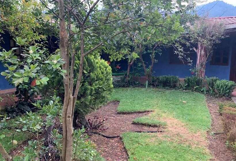 هتل Gran Shalom Ii