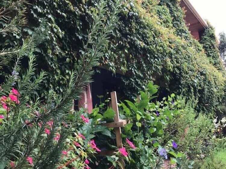 هتل Gran Shalom Ii