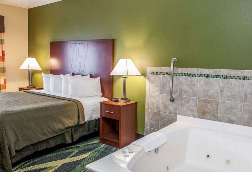 בית מלון כפרי Quality Inn And Suites South Bend