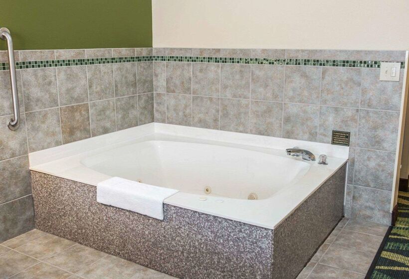 בית מלון כפרי Quality Inn And Suites South Bend