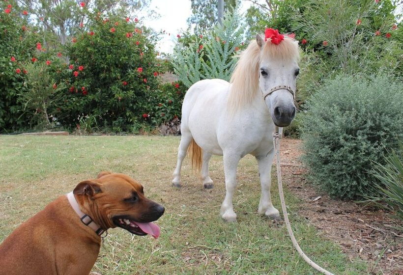 Отель Silver Wattle Caravan Park