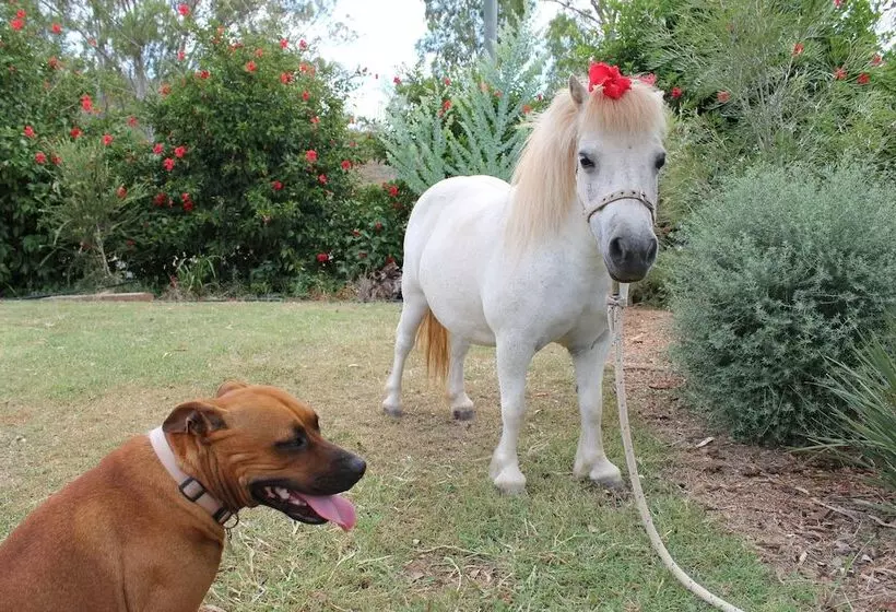 Hotelli Silver Wattle Caravan Park