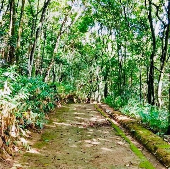 ホテル Spa Espaço Verde