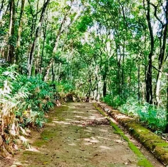 Hotelli Spa Espaço Verde