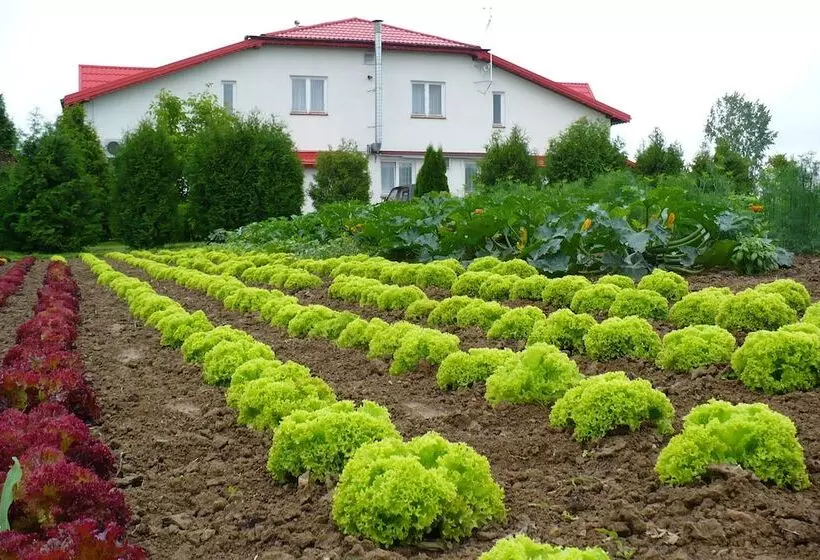 Hotelli Zajazd Marta