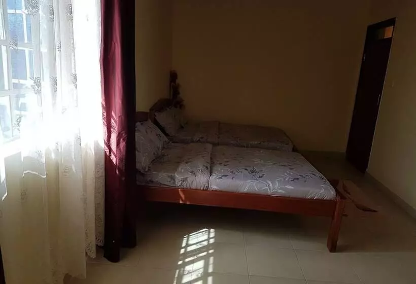 Maggys Airport Guest House   Hostel