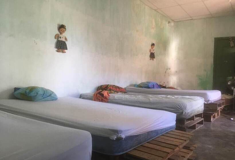 Maya Pan Hostal Hostel