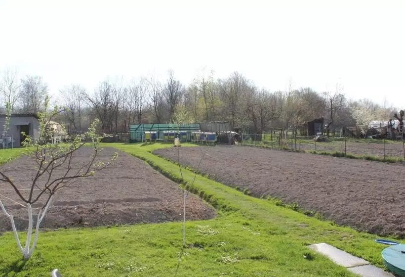 پانسیون Apartmani Denis