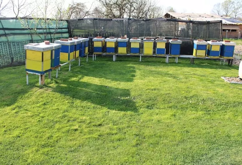 پانسیون Apartmani Denis