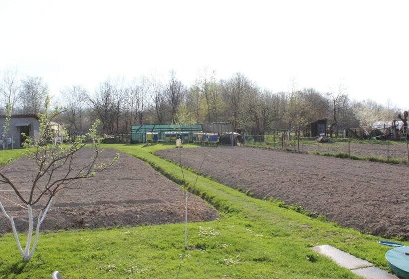 پانسیون Apartmani Denis