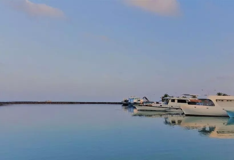 پانسیون Explore Island Inn