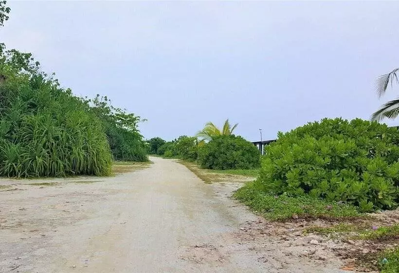 پانسیون Explore Island Inn