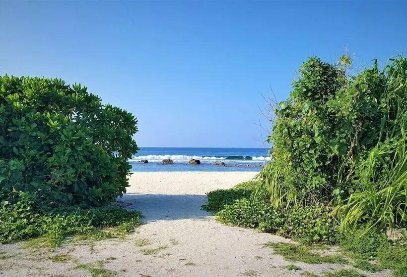 پانسیون Explore Island Inn