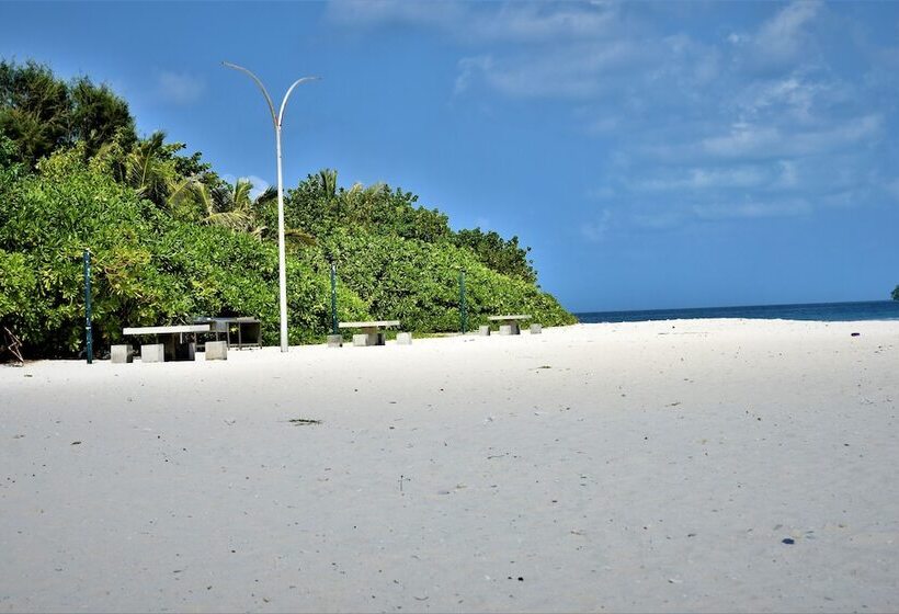 پانسیون Explore Island Inn