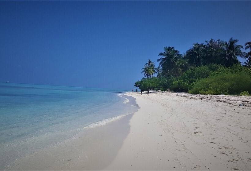 پانسیون Explore Island Inn