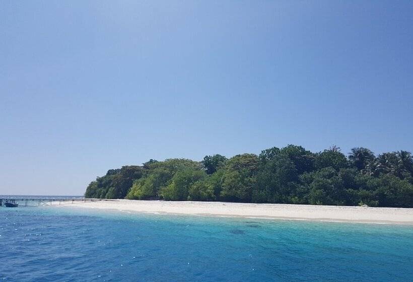 پانسیون Explore Island Inn