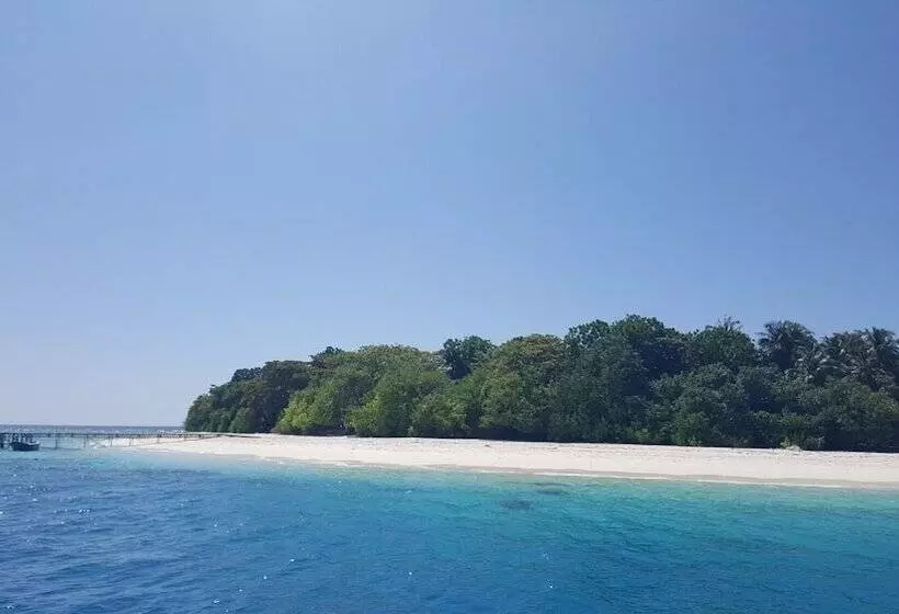 پانسیون Explore Island Inn