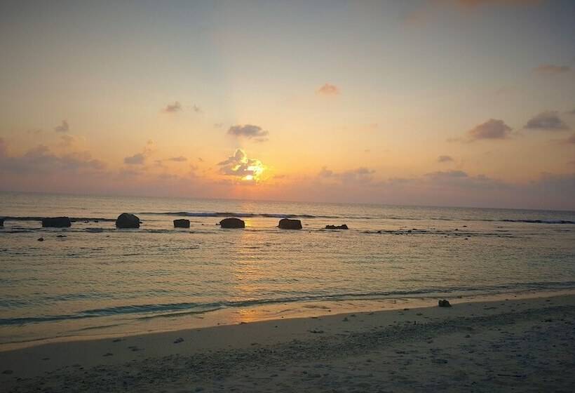 پانسیون Explore Island Inn