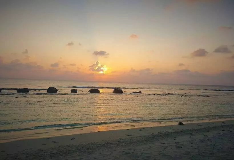 پانسیون Explore Island Inn