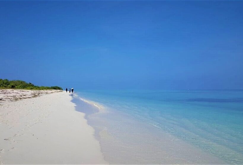 پانسیون Explore Island Inn