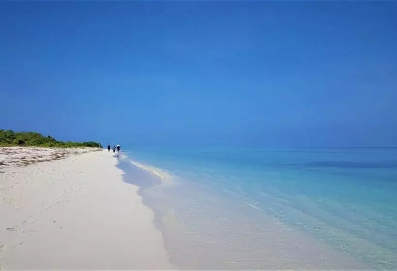 پانسیون Explore Island Inn