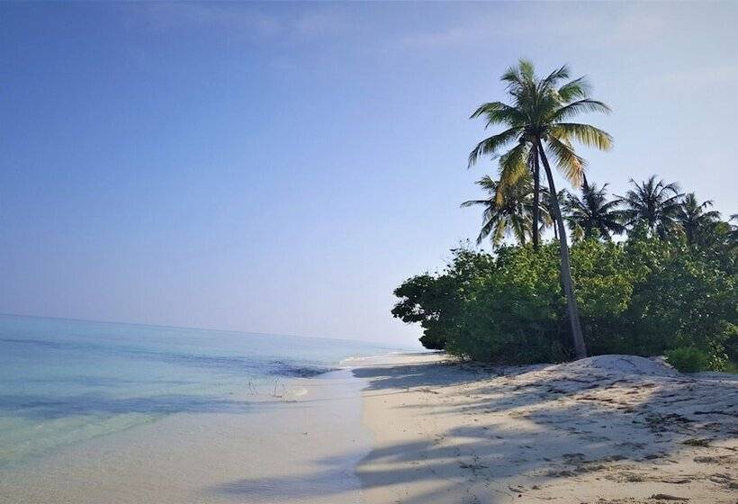 پانسیون Explore Island Inn