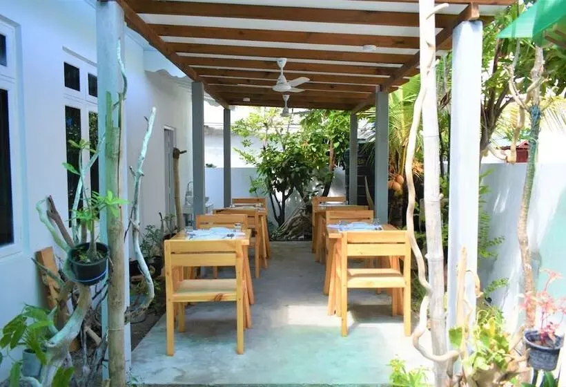 پانسیون Explore Island Inn