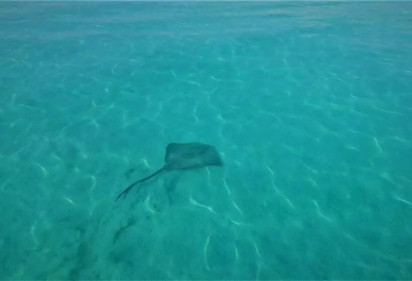 پانسیون Explore Island Inn