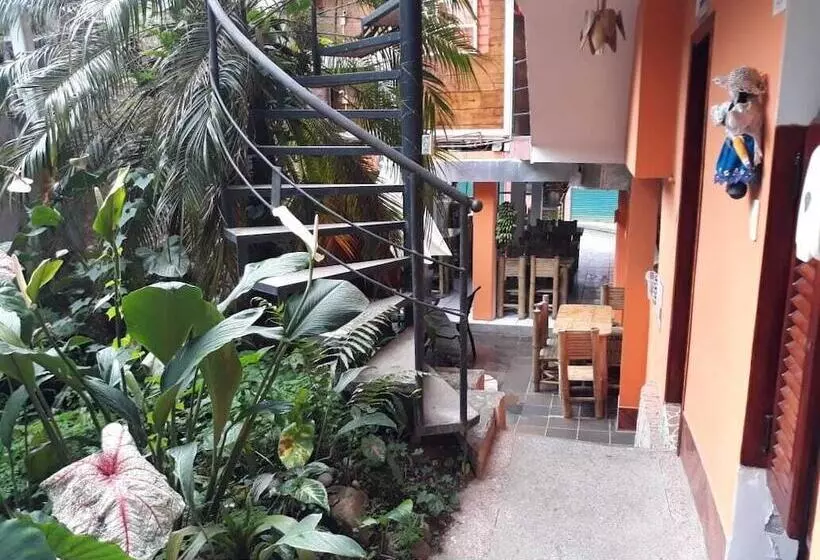 ペンション La Cañita De Pacto
