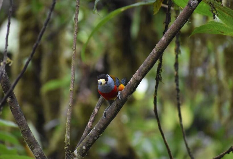 פנסיון La Cañita De Pacto