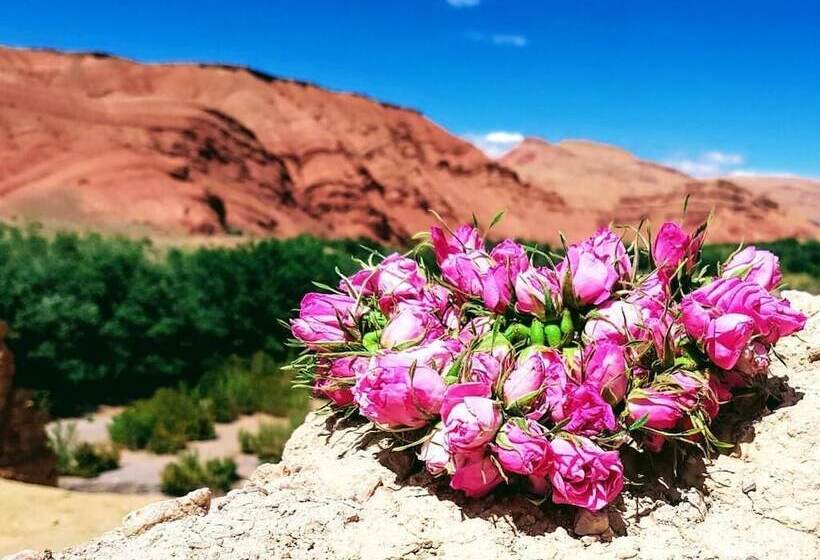 Pensionat Maison Hôtes Hayat