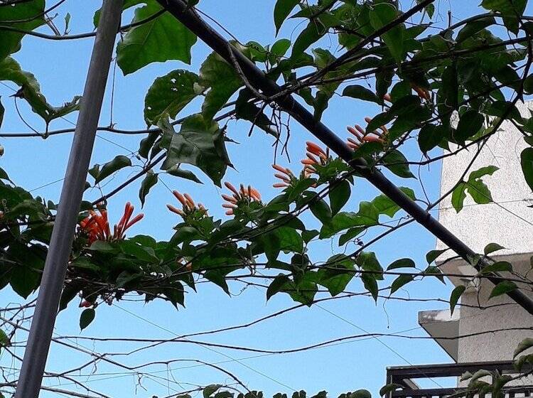 پانسیون Maple Feeling Vacation Farm