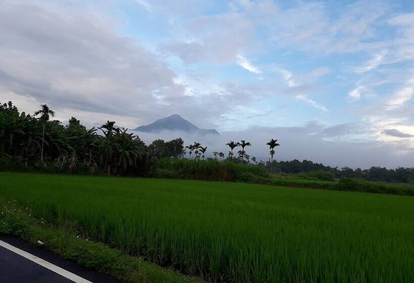 پانسیون Maple Feeling Vacation Farm